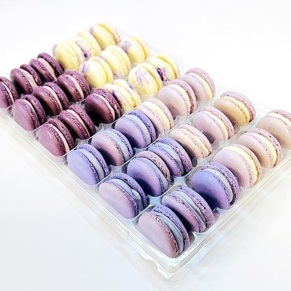 Purple Vibe: A Flavorful Quartet of French Macarons in One Set | (Blackberry, Boysenberry, Ube and Grape) | 36 Pack