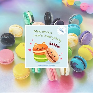 Assortment French Macarons | Macaron makes everything better! | Each macaron labeled with flavor.