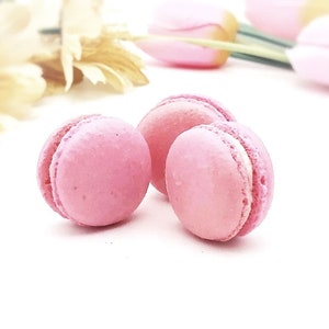 6 Pack light pink macarons | raspberry white chocolate buttercream macaron.