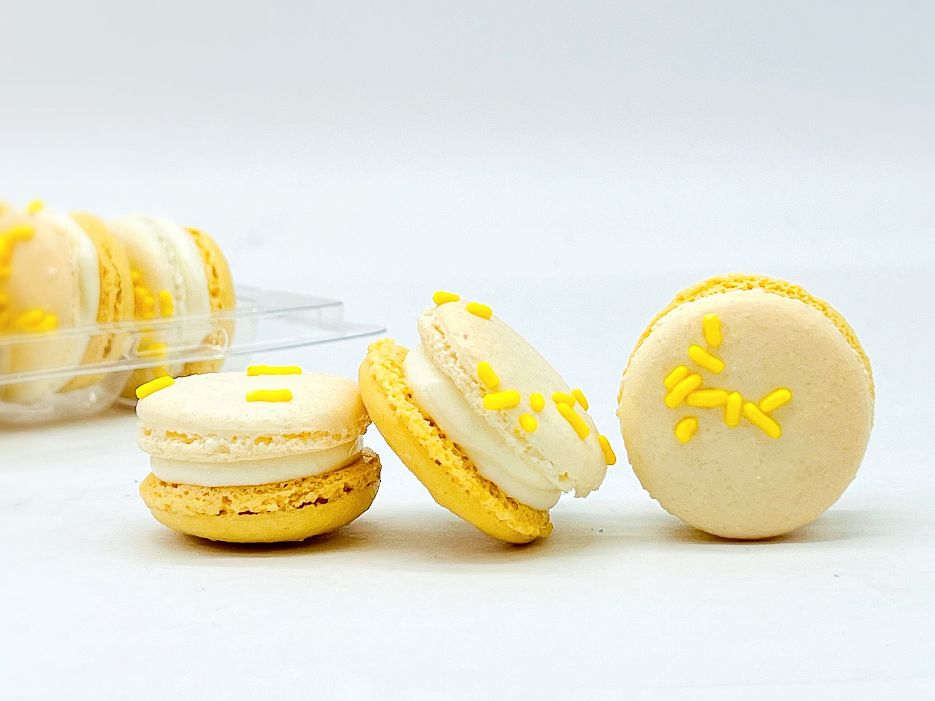 6 Pack Eggnog French Macarons -  Portugal