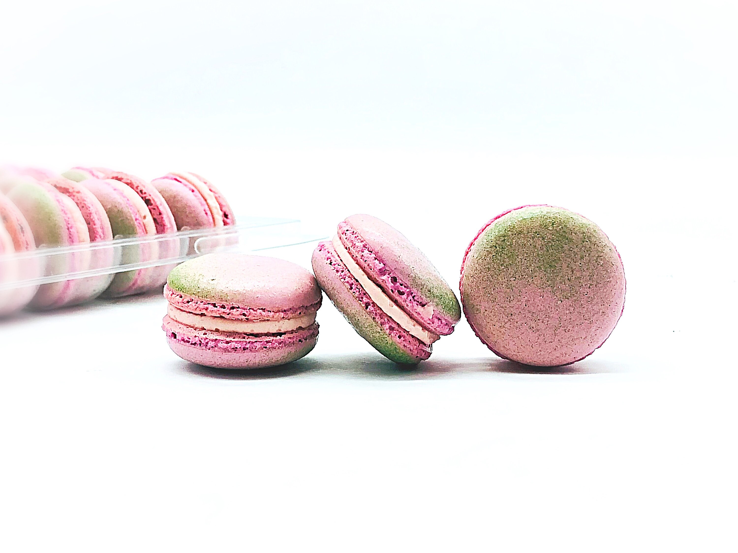 macaroon　※同梱割引 Macaron Gift Boxes For Sale In Store & Online In Bellevue