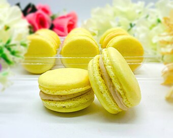 Può includere: Primo piano di macarons gialli con ripieno marrone chiaro. I macarons sono disposti in un contenitore di plastica trasparente su uno sfondo bianco.