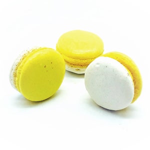 6 Pack Banana White Chocolate Ganache Macarons