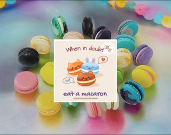 Spider French Macarons - 6,12 or 24 - Choose Your Flavors - Spider