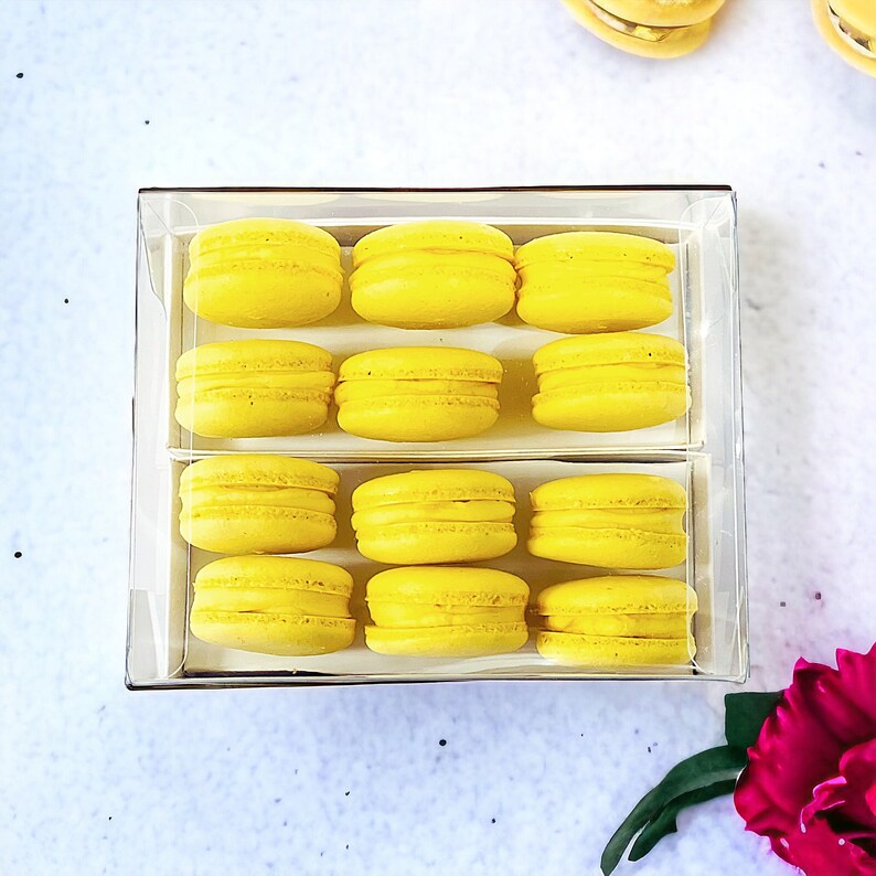 Lemon Cream Macaron Sucettes En Gros Available in 24 & 48 Sucettes image 2
