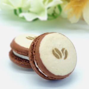 6 Pack  vanilla latte macarons