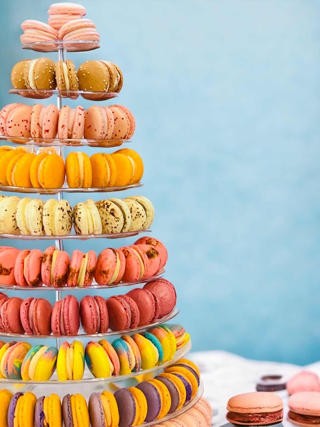macaron 10 Tier Macaron Tower With Protective Case | Adjustable and
