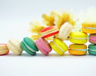 Tropical Macaron Set | Free Shipping.