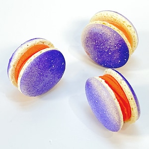 6 Pack  Zesty Orange Grape French Macarons