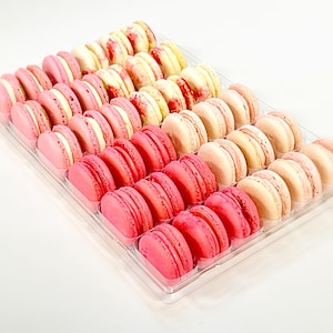 Pink Vibe: A Flavorful Quartet of French Macarons in One Set | 36 Pack