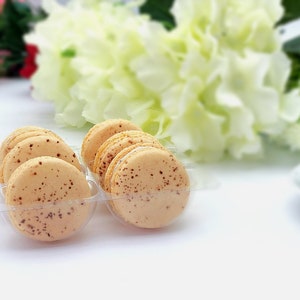 6 Pack  tiramisu macarons