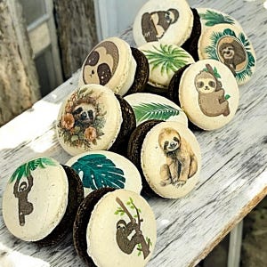 May include: A collection of decorated macarons with various sloth designs, including floral, tropical leaves, and a sloth hanging from a branch. The macarons are arranged on a white wooden surface.