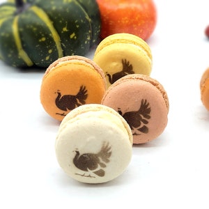 May include: A collection of colorful macarons with a turkey design, perfect for Thanksgiving. The macarons are in shades of orange, yellow, and pink. Decorative gourds and an acorn are in the background.