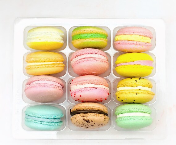 What's the Difference between the Macaron and Pastel Colored