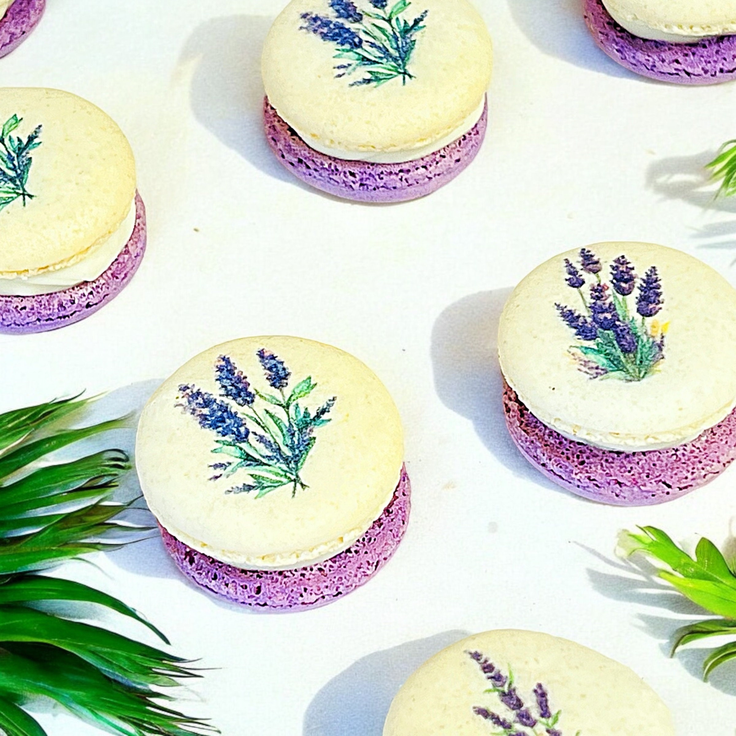 Customizable Lavender French Macarons Set