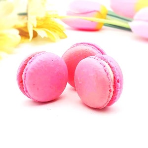 6 Pack  raspberry French macarons