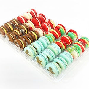 Winter Wonder Vibe: A Flavorful Quartet of French Macarons in One Set | 36 Pack