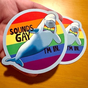 May include: Two round stickers featuring a beluga whale wearing a rainbow bow tie, set against a rainbow background. The text "SOUNDS GAY" and "I'M IN." are printed on the sticker. The stickers have a light blue border.