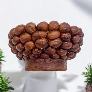 May include: A brown ceramic planter shaped like a cluster of rounded, textured balls. The planter has a smooth, flat base.