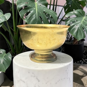 May include: A gold-coloured brass bowl with a wide rim and a pedestal base. The bowl is on a white marble pedestal. The background features green leafy plants.