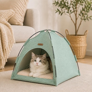 Puede incluir: Una cama tipo tienda de campaña para mascotas en color verde claro con estructura negra y cojín interior beige. Un gato esponjoso de pelaje blanco y gris descansa dentro. El texto Cozy Cat Tent Bed aparece en letras marrón oscuro a la derecha.