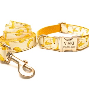 Boy and girl matching dog collars shop