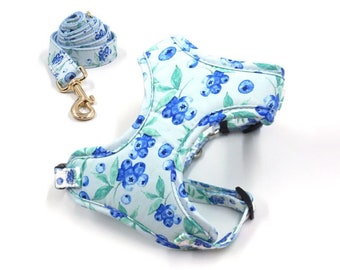 Dog harness with leash, Dog collar with name, Dog collar and leash set, Dog collar with bow, Blueberry printing.