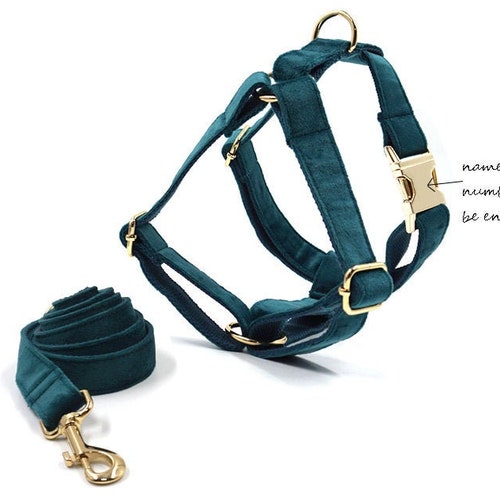 Dog Harness Personalized Dog Harness With Name Green and Red Etsy