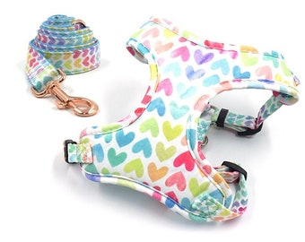 Dog harness and leash, Dog collar with name, Dog collar and leash set, Dog collar and poo bag.