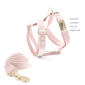 Dog harness personalized, dog harness with name, Light Pink and Creamy White Velvet dog harness and leash.