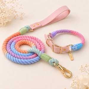 Pode incluir: Um conjunto de trela e coleira para animal com um design de corda entrançada multicolorida em tons de rosa, laranja, azul e verde. O conjunto inclui ferragens em metal dourado, uma pega em pele rosa claro e uma etiqueta retangular Happy.