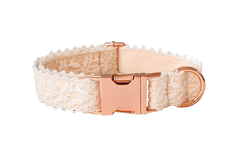 May include: A light pink dog collar with a white lace trim and a rose gold buckle.