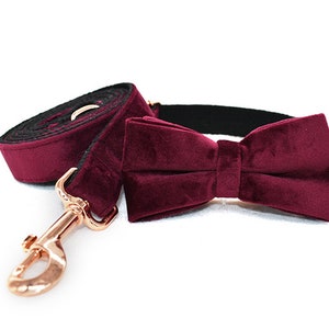 May include: Burgundy velvet dog collar and leash set with a matching bow tie. The collar and leash are both made of a soft, luxurious velvet fabric. The bow tie is attached to the collar with a gold-tone buckle.