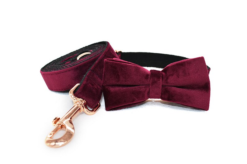 May include: Burgundy velvet dog collar and leash set with a matching bow tie. The collar and leash are both made of a soft, luxurious velvet fabric. The bow tie is attached to the collar with a gold-tone buckle.