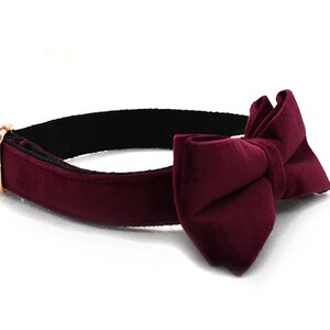 May include: A burgundy velvet bow tie collar for a pet. The collar is adjustable and has a gold metal buckle.