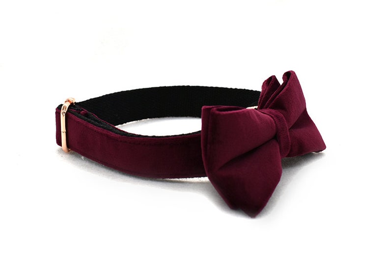 May include: A burgundy velvet bow tie collar for a pet. The collar is adjustable and has a gold metal buckle.
