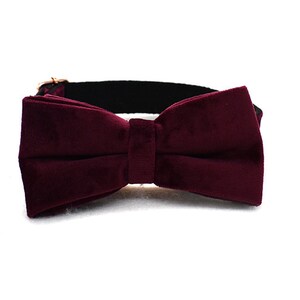 May include: A burgundy velvet bow tie with a black adjustable strap.