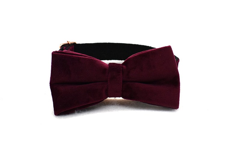 May include: A burgundy velvet bow tie with a black adjustable strap.