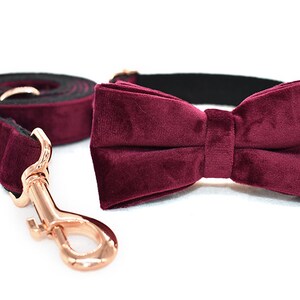May include: Burgundy velvet dog collar and matching bow tie. The collar has a rose gold metal clasp.