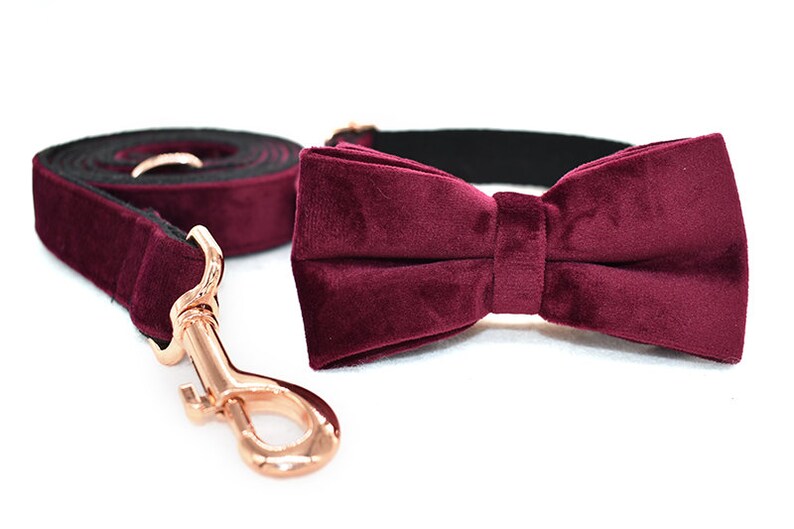 May include: Burgundy velvet dog collar and matching bow tie. The collar has a rose gold metal clasp.