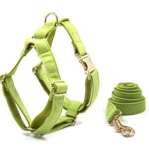 Personalized Dog Harness and Leash, Harness with Name, Dog Harness and Poo Bag.