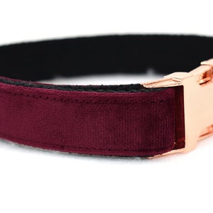May include: A burgundy velvet dog collar with a rose gold buckle.