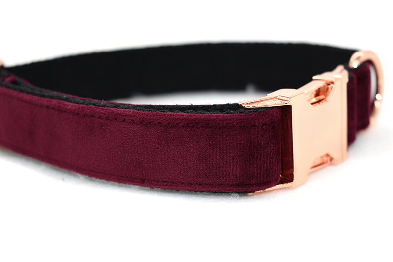 May include: A burgundy velvet dog collar with a rose gold buckle.