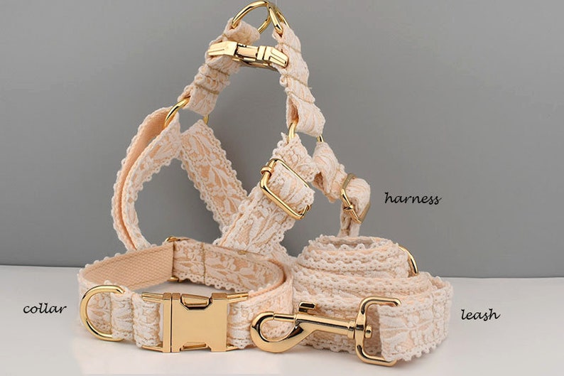 May include: A set of dog accessories in a delicate cream colour with gold hardware. The set includes a collar, harness, and leash, all featuring a lace design.