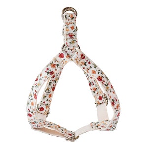 Dog Harness and Leash Set, Dog Harness Personalized, Floral Dog Harness with Name, Dog Harness Girl.