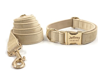 May include: A beige dog collar and lead set with a gold buckle. The buckle has the name "Jeffrey" and a phone number engraved on it.