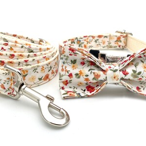 May include: A white dog collar and leash set with a floral pattern featuring red, orange, and yellow flowers. The set includes a matching bow tie.