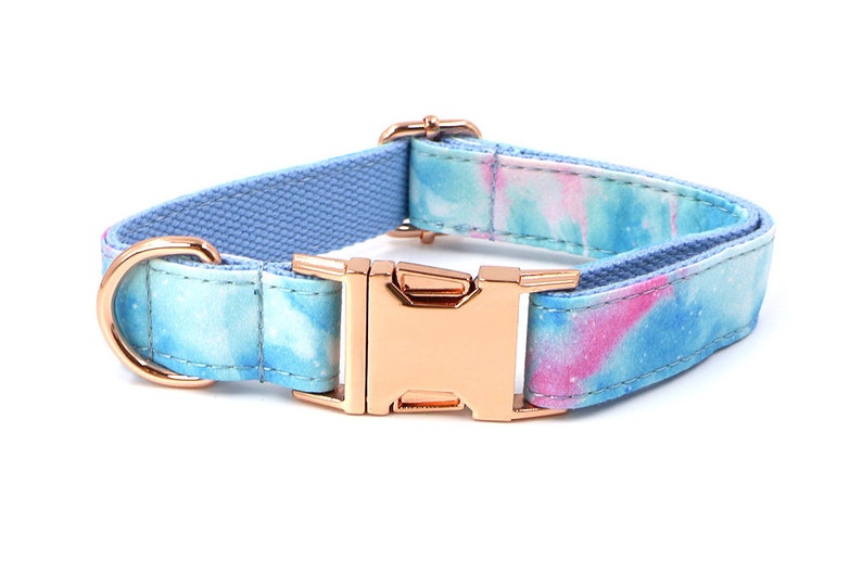 Dog Collar and Leash Colorful Collar Dog Collar With Name Etsy