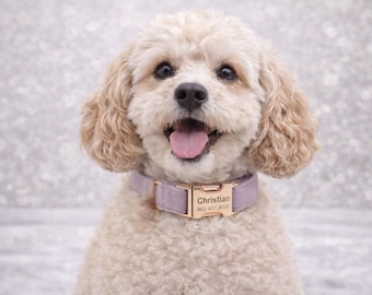 Personalized Dog Collar and Harness, Dog Harness and Name, Free Engraving, Velvet Dog Collar.