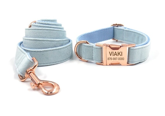 Baby blue dog leash sales